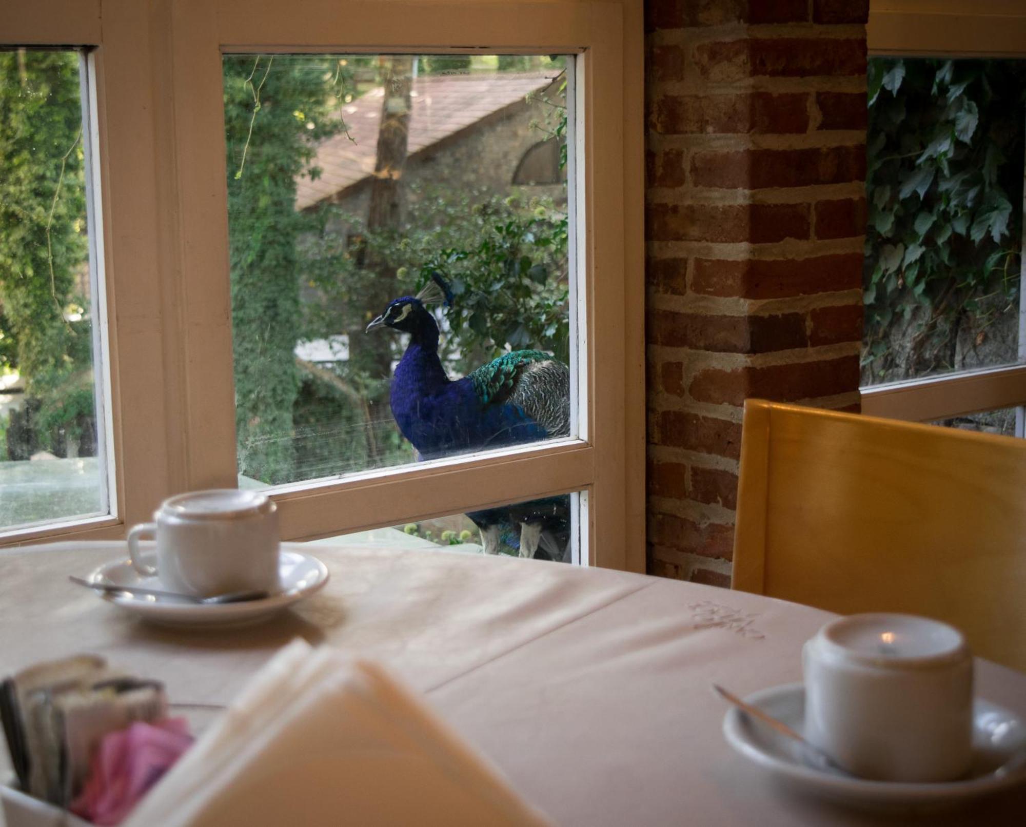 Carilo Village Apart Hotel & Spa Εξωτερικό φωτογραφία